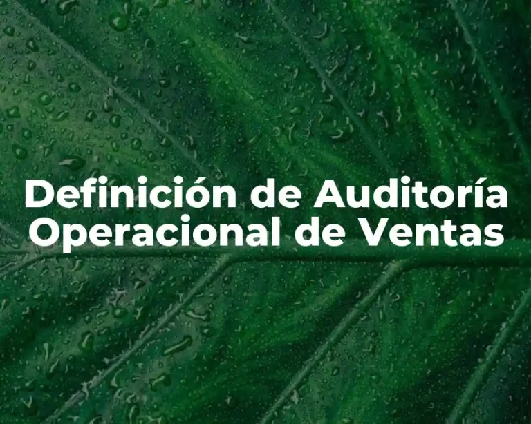 Definición de Auditoría Operacional de Ventas