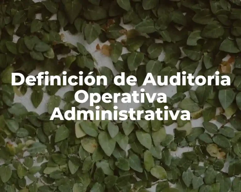 Definición de Auditoria Operativa Administrativa