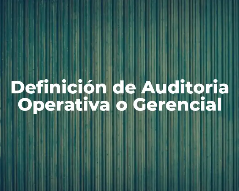 Definición de Auditoria Operativa o Gerencial
