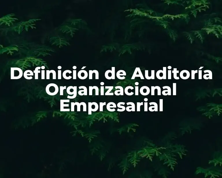 Definición de Auditoría Organizacional Empresarial