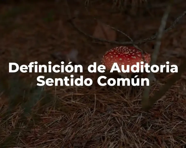 Definición de Auditoria Sentido Común