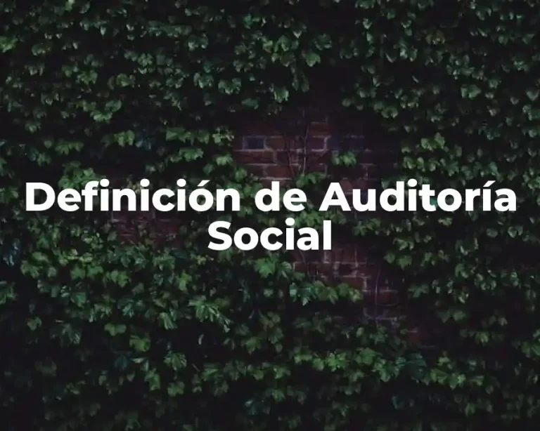 Definición de Auditoría Social