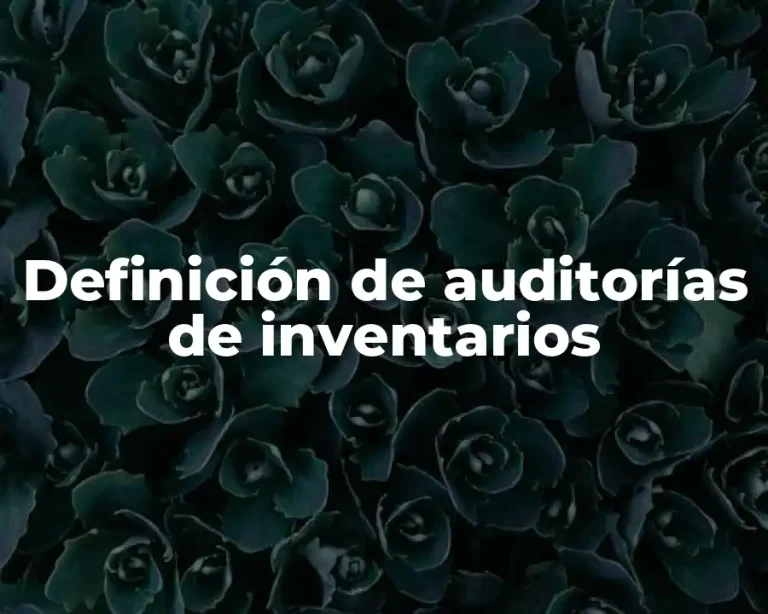 Definición de auditorías de inventarios