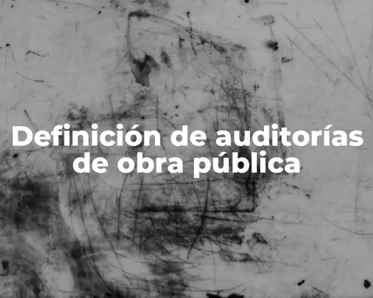 Definición de auditorías de obra pública