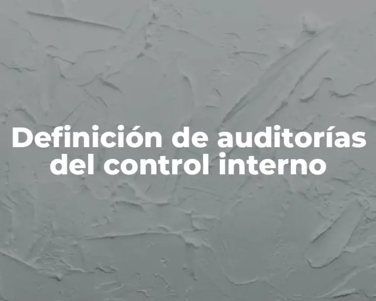 Definición de auditorías del control interno