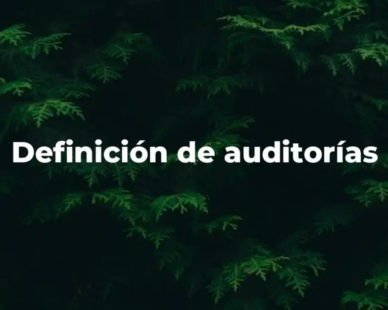 Definición de auditorías