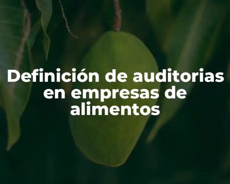 Definición de auditorias en empresas de alimentos