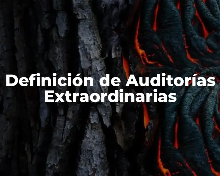 Definición de Auditorías Extraordinarias