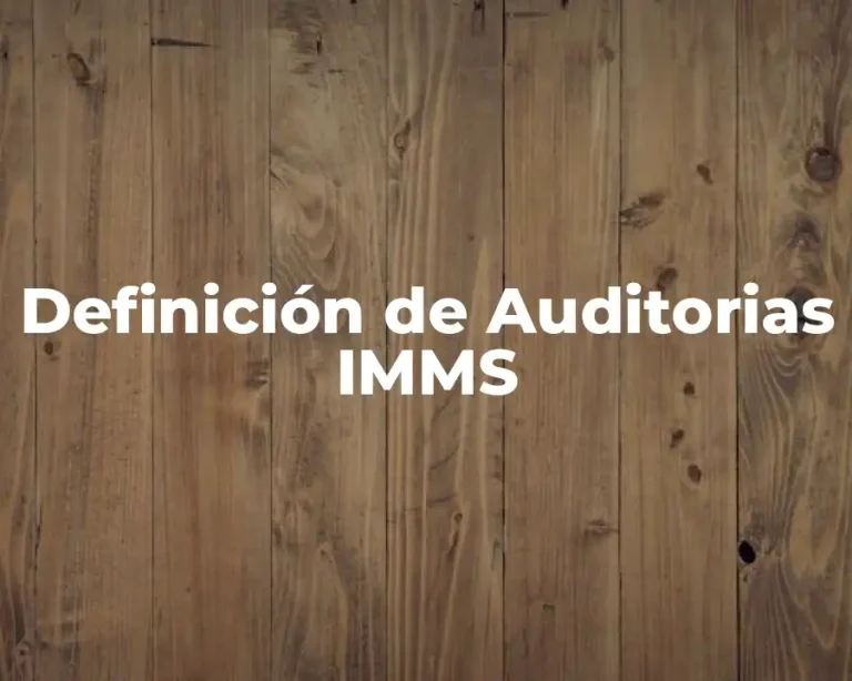 Definición de Auditorias IMMS