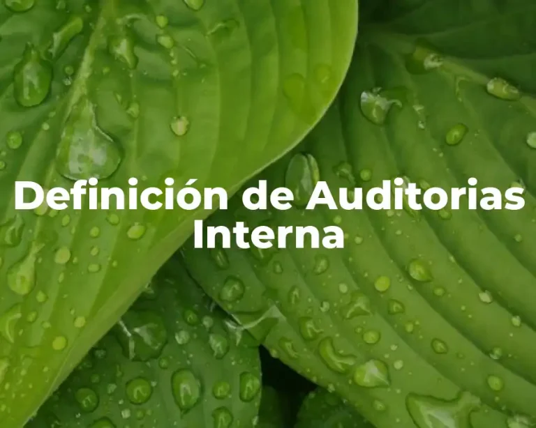 Definición de Auditorias Interna