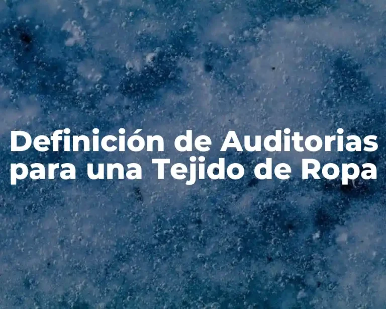 Definición de Auditorias para una Tejido de Ropa