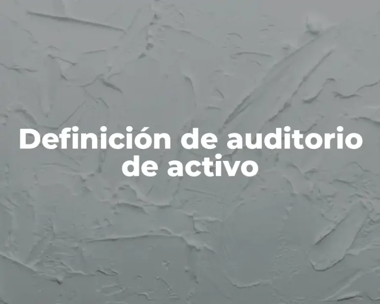 Definición de auditorio de activo