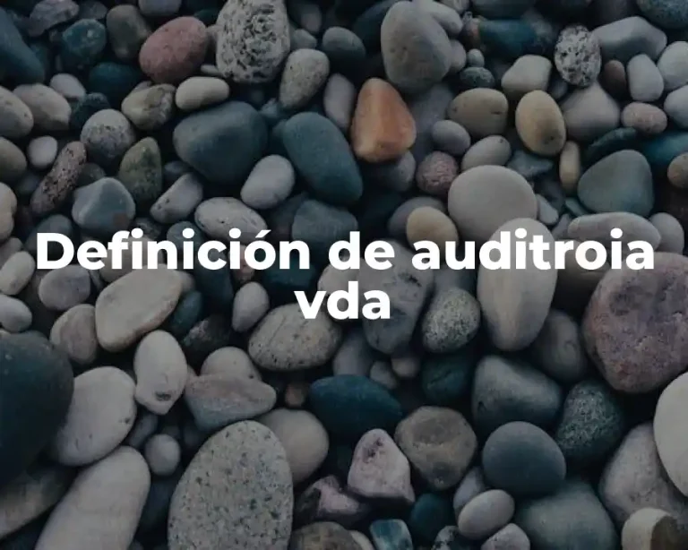 Definición de auditroia vda