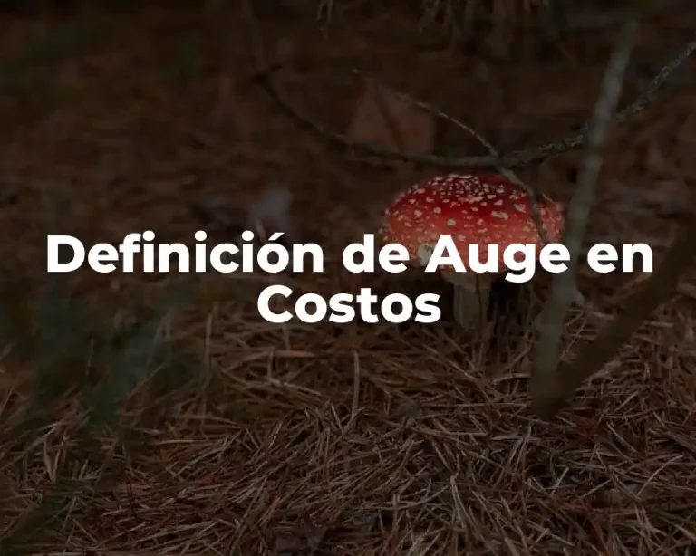 Definición de Auge en Costos