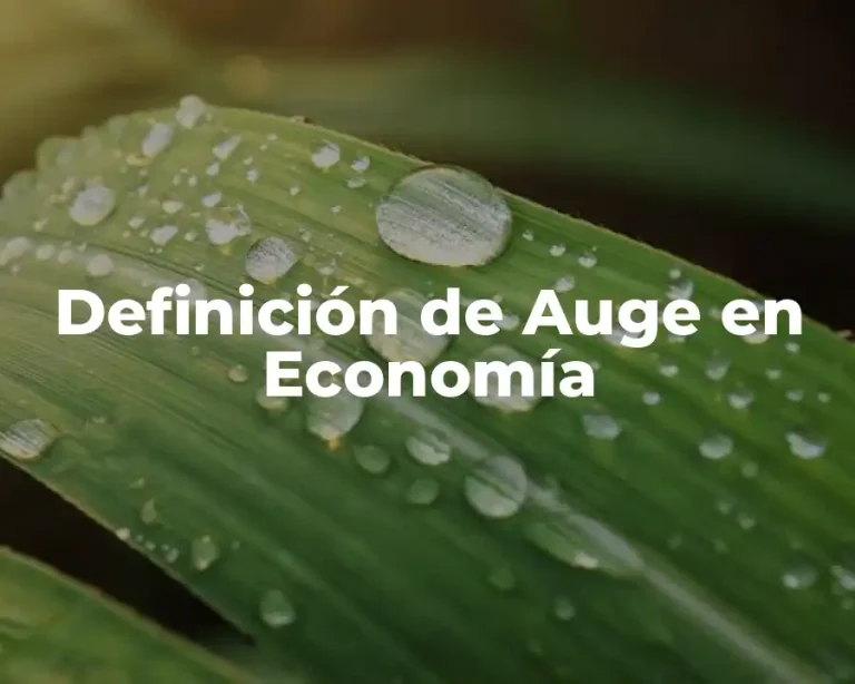 Definición de Auge en Economía