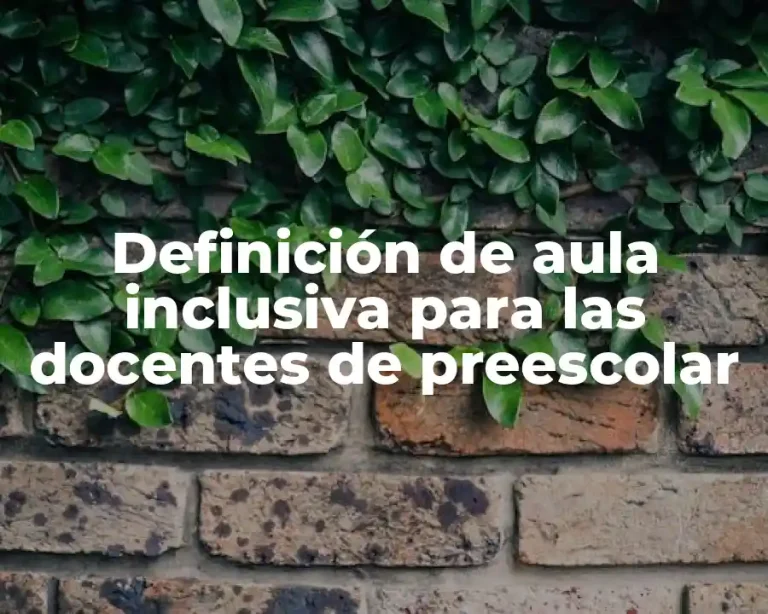 Definición de aula inclusiva para las docentes de preescolar
