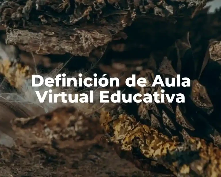 Definición de Aula Virtual Educativa