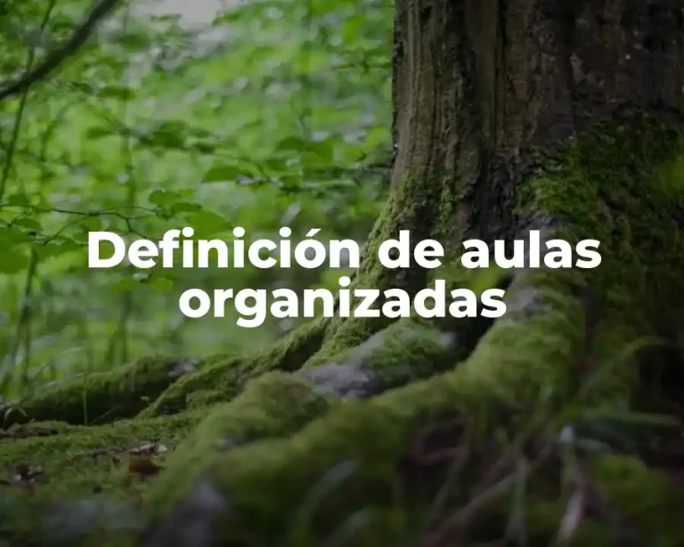 Definición de aulas organizadas