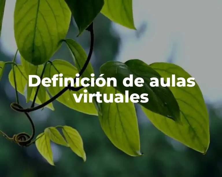 Definición de aulas virtuales