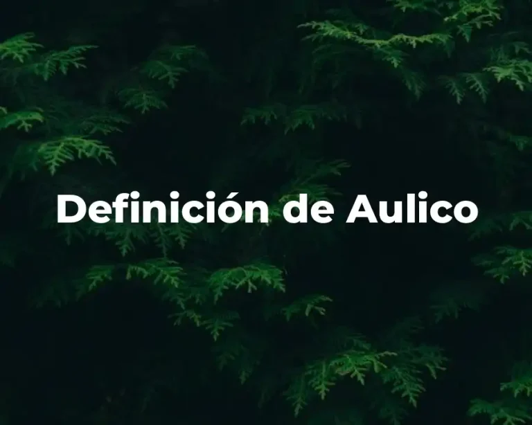 Definición de Aulico