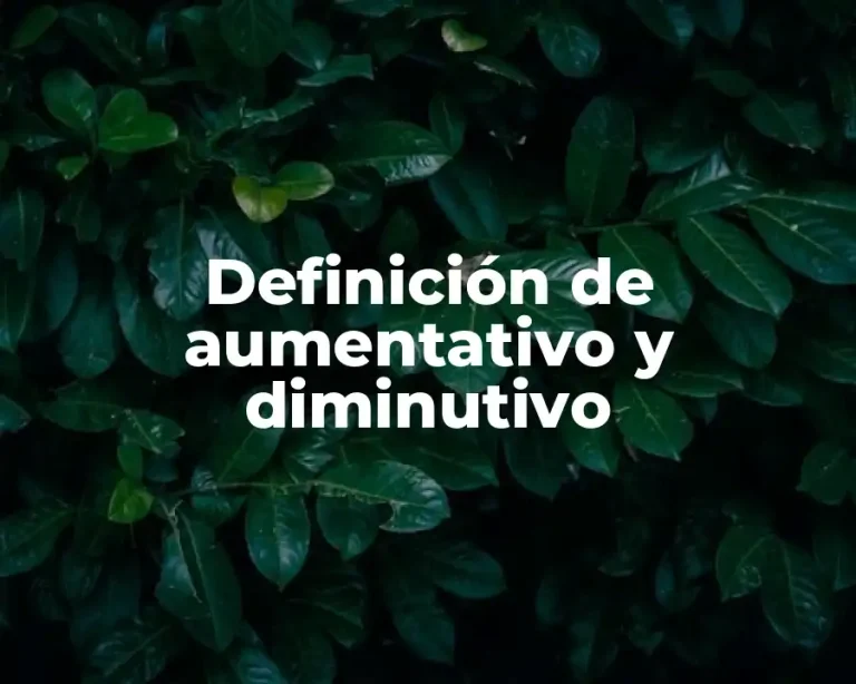 Definición de aumentativo y diminutivo