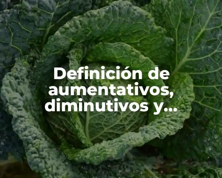 Definición de aumentativos, diminutivos y despectivos