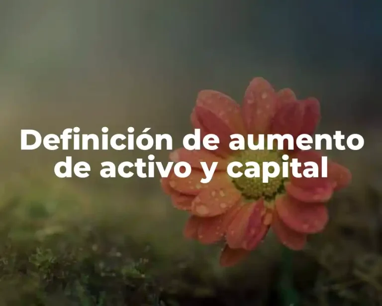 Definición de aumento de activo y capital