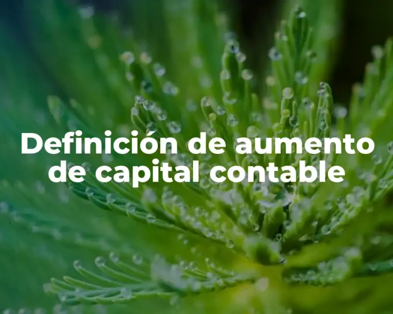 Definición de aumento de capital contable