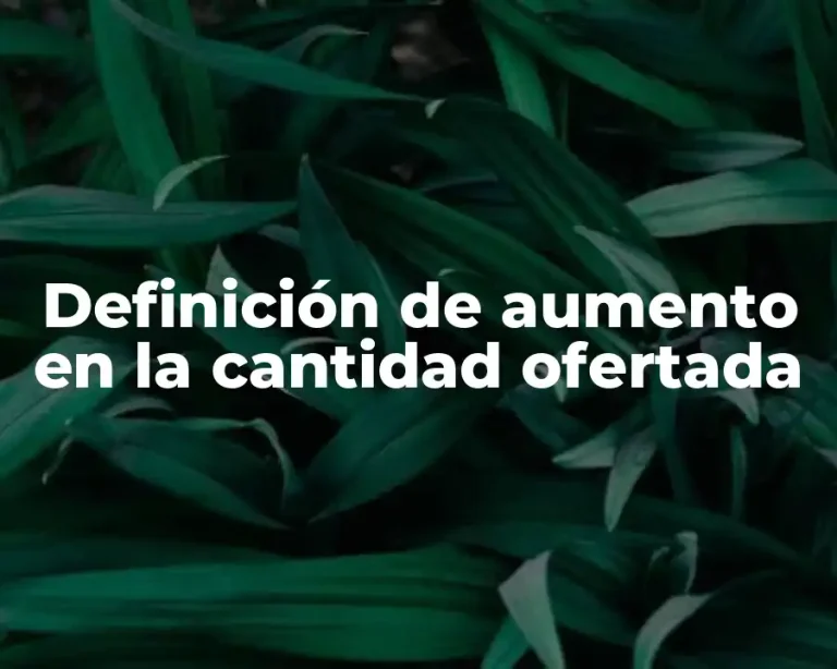 Definición de aumento en la cantidad ofertada