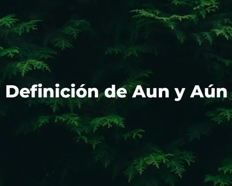 Definición de Aun y Aún