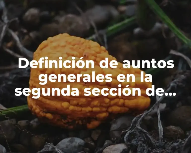 Definición de auntos generales en la segunda sección de cepse