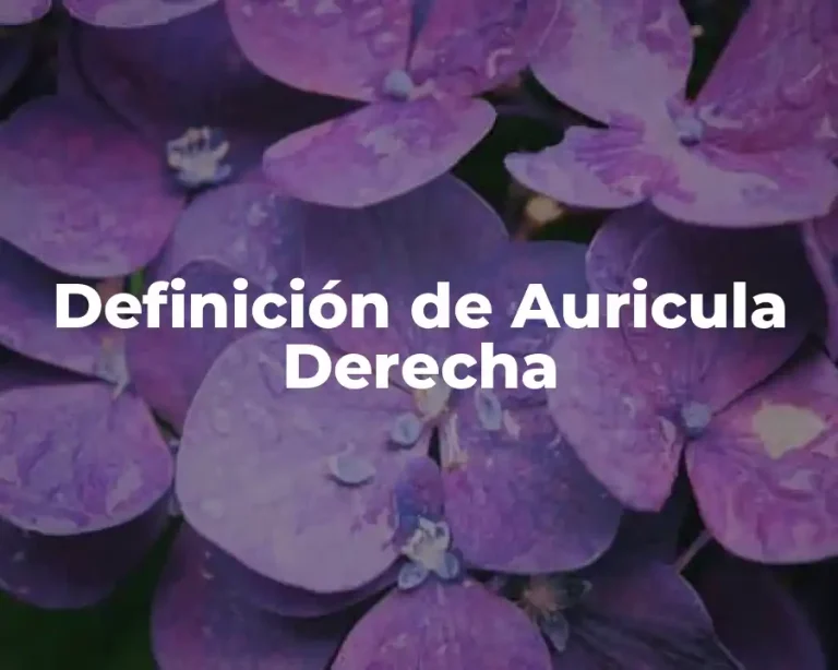 Definición de Auricula Derecha