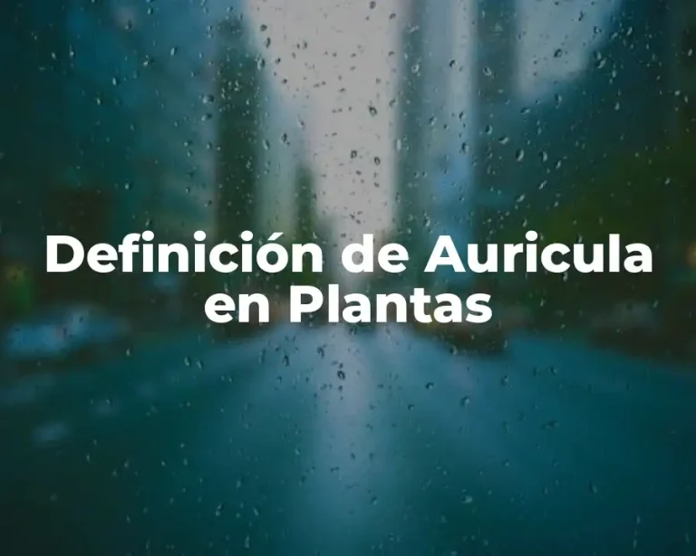 Definición de Auricula en Plantas