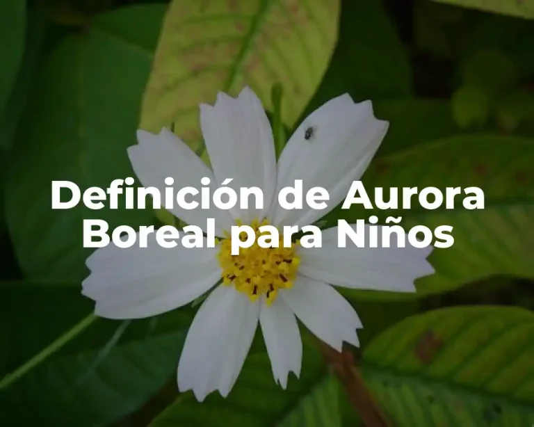 Definición de Aurora Boreal para Niños