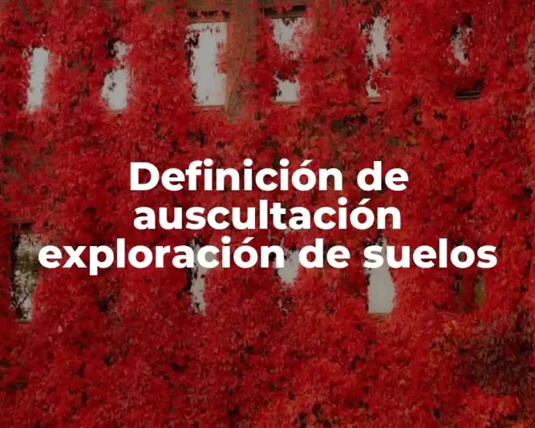 Definición de auscultación exploración de suelos