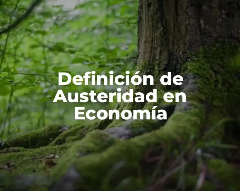 Definición de Austeridad en Economía