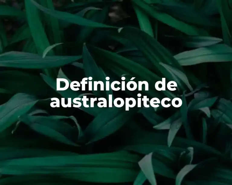 Definición de australopiteco