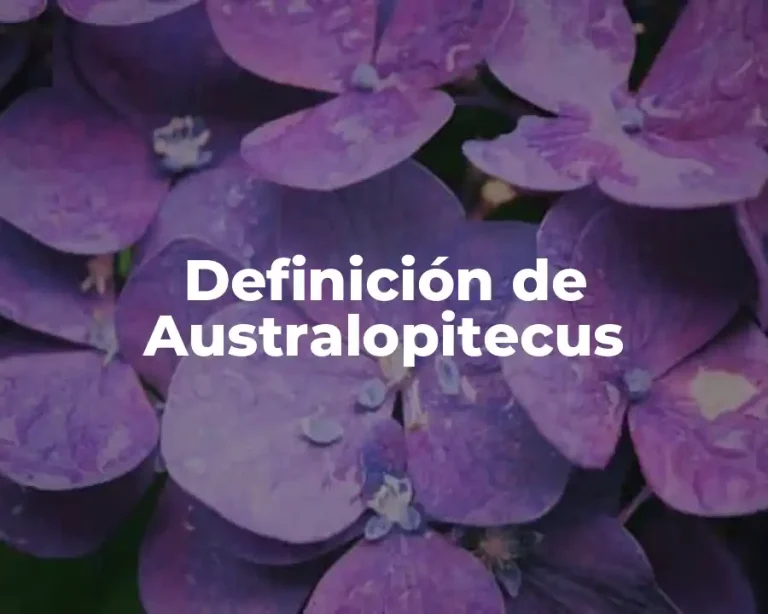 Definición de Australopitecus