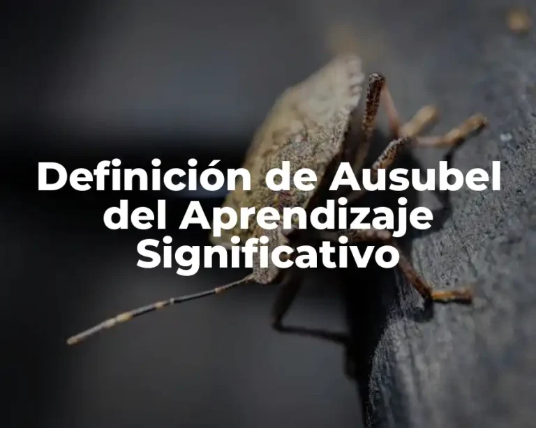 Definición de Ausubel del Aprendizaje Significativo