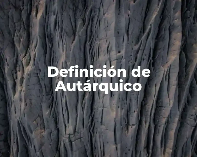 Definición de Autárquico