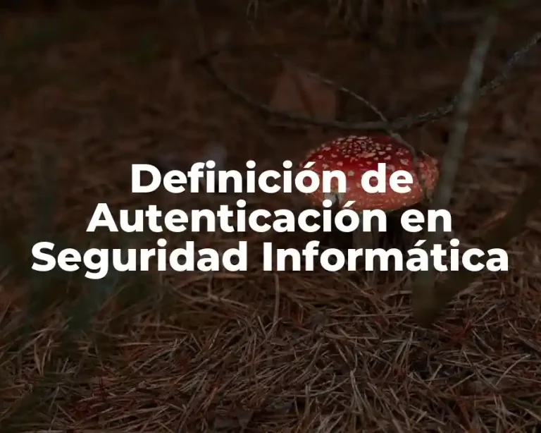 Definición de Autenticación en Seguridad Informática