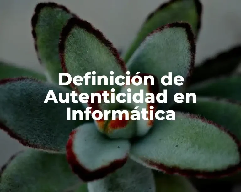 Definición de Autenticidad en Informática
