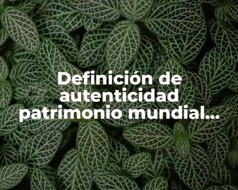 Definición de autenticidad patrimonio mundial Unesco