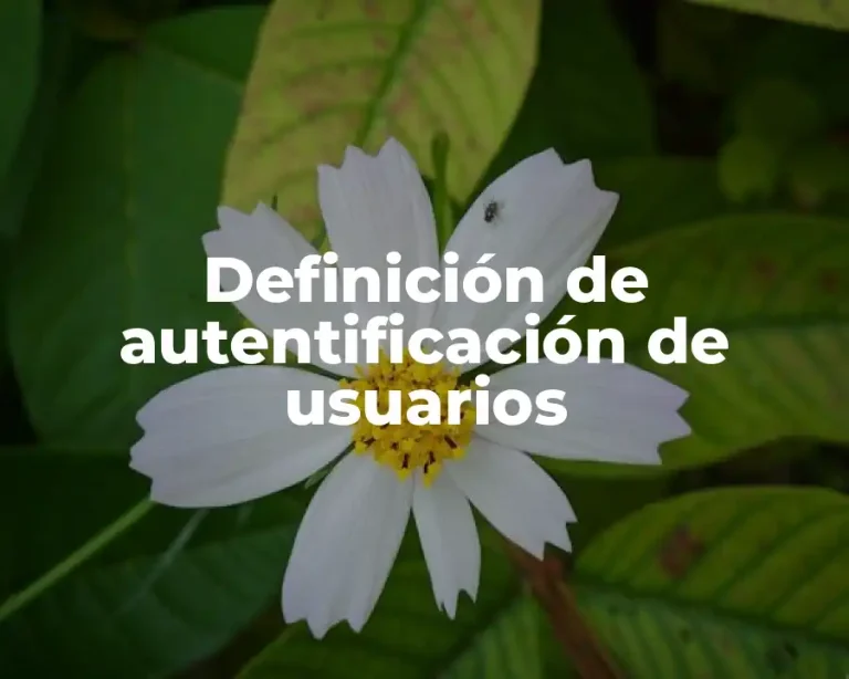 Definición de autentificación de usuarios