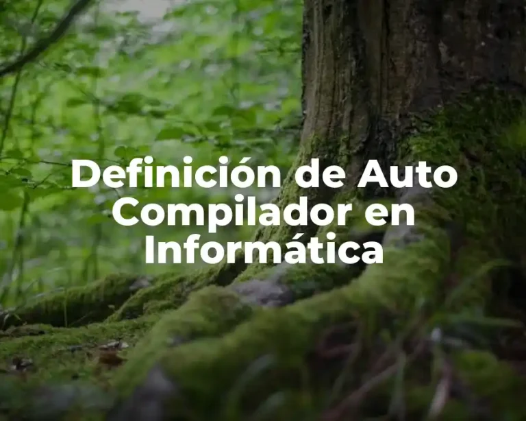 Definición de Auto Compilador en Informática