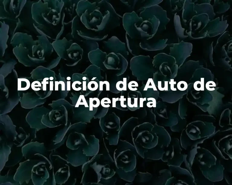 Definición de Auto de Apertura