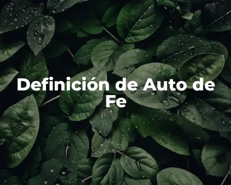 Definición de Auto de Fe