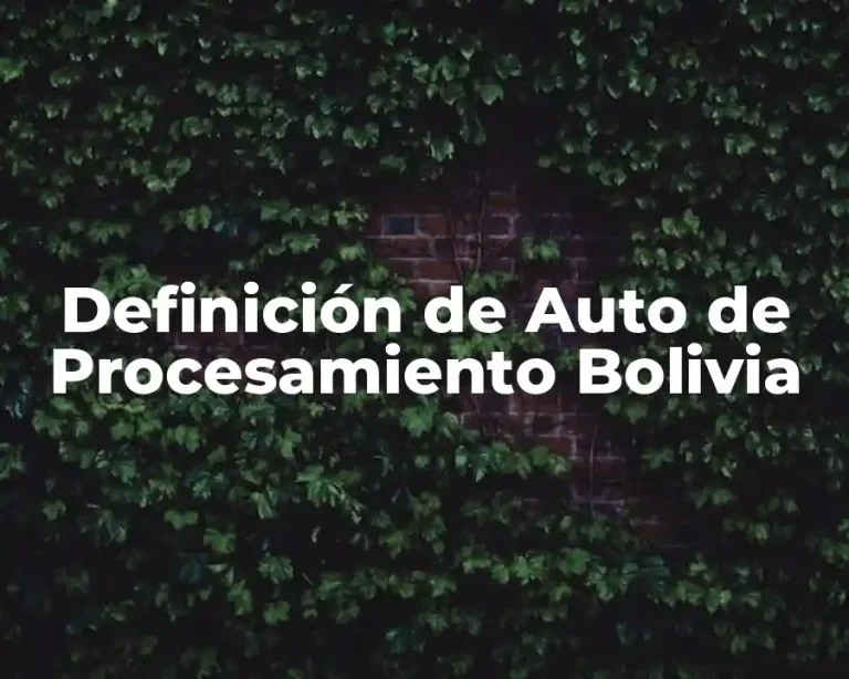 Definición de Auto de Procesamiento Bolivia
