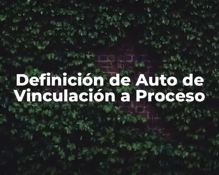 Definición de Auto de Vinculación a Proceso