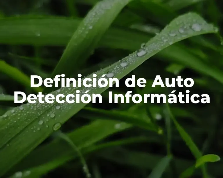 Definición de Auto Detección Informática